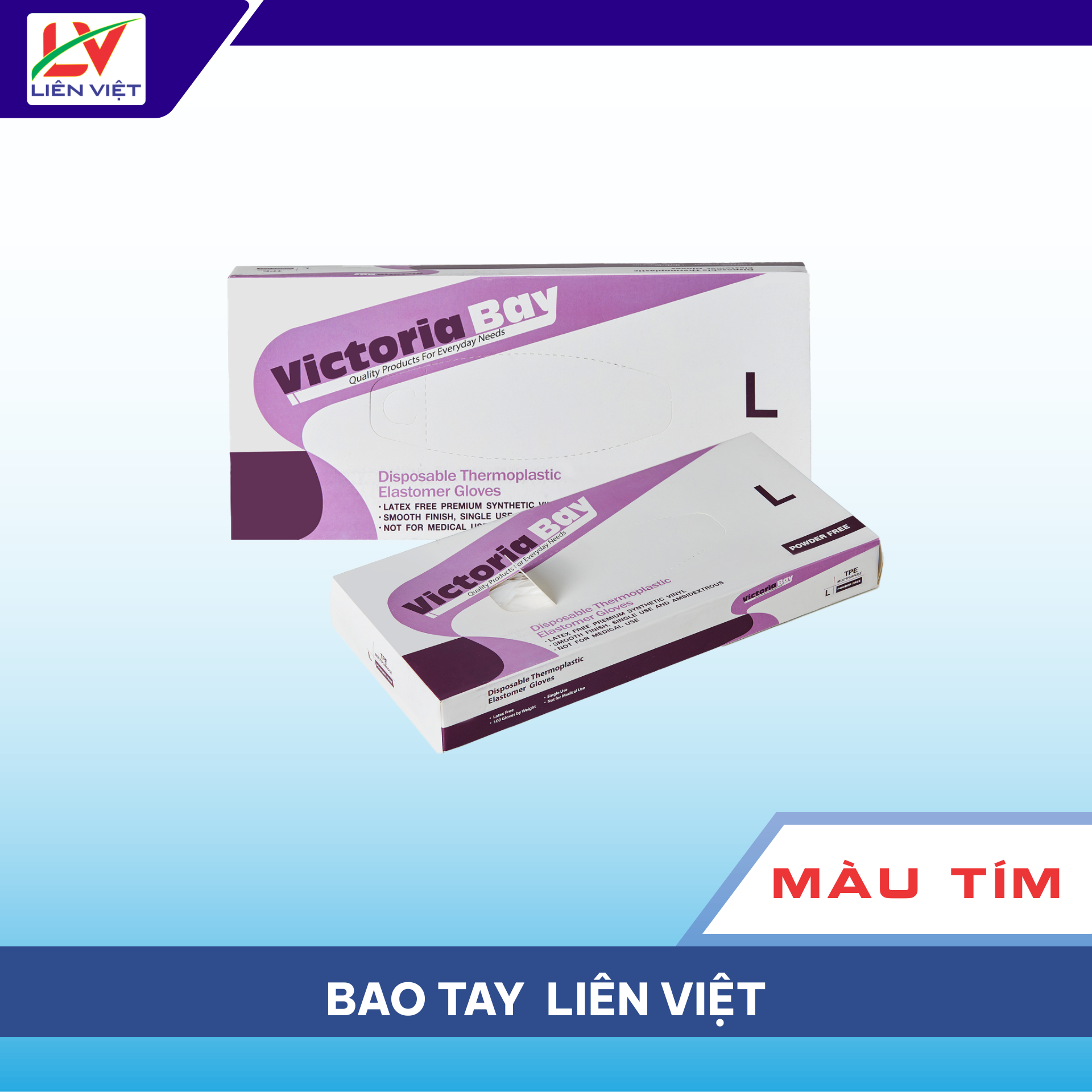 Bao Tay Liên Việt MàuTím